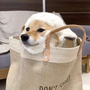 亚洲人无码r18黄色视频
